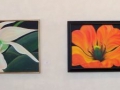 fran_avila_art11 (2)