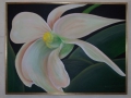 fran_avila_art15 (2)